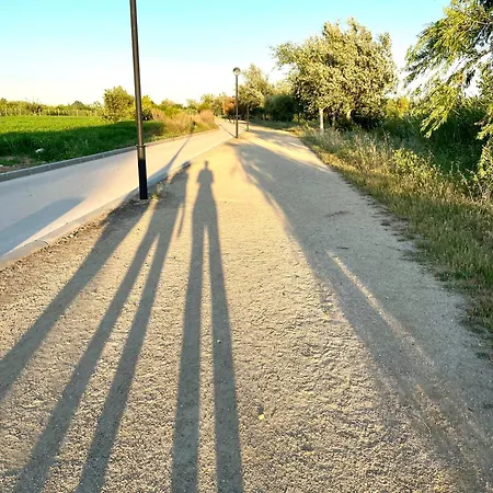 Σπίτι διακοπών Casa Amparo Deltebre