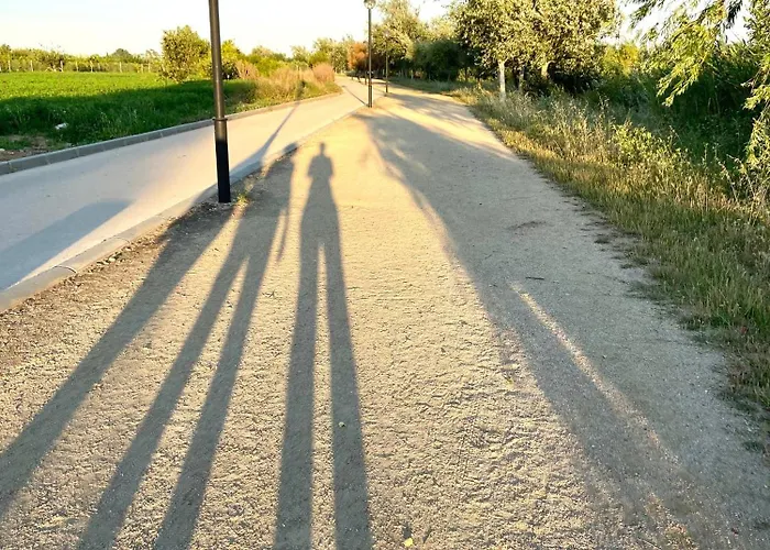 Prázdninový dům Casa Amparo Deltebre